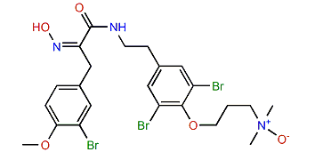 Purpuramine J